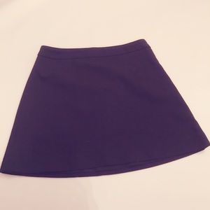 Express skirt